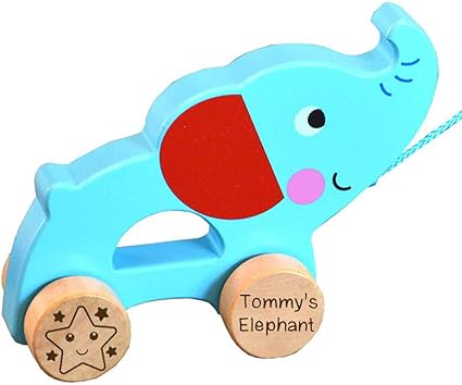 personalised pull along toy