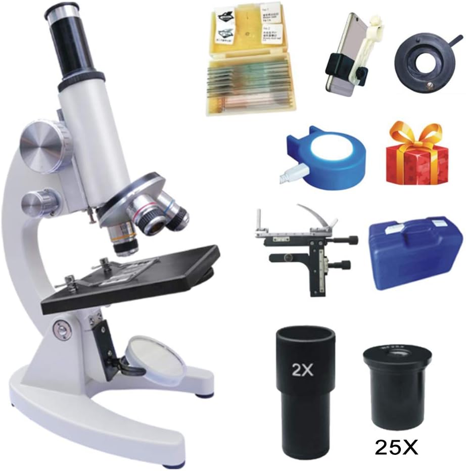 microscopio per principianti adulti