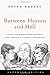 Between Heaven and Hell: A Dialog Somewhere Beyond Death with John F. Kennedy, C. S. Lewis & Aldous Huxley