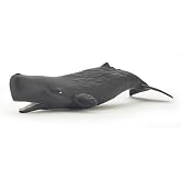 Papo - Realistic Baby Sperm Whale Figure - Ages 3+ - Marine Life Collection - Educational Play Young Marine Mammals - Gift Idea Toy for Girls and Boys
