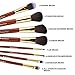 MiroPure 8-Piece Kabuki Makeup Brush Set with Ear Pick and Acne Needle (Golden Carmine / Black)