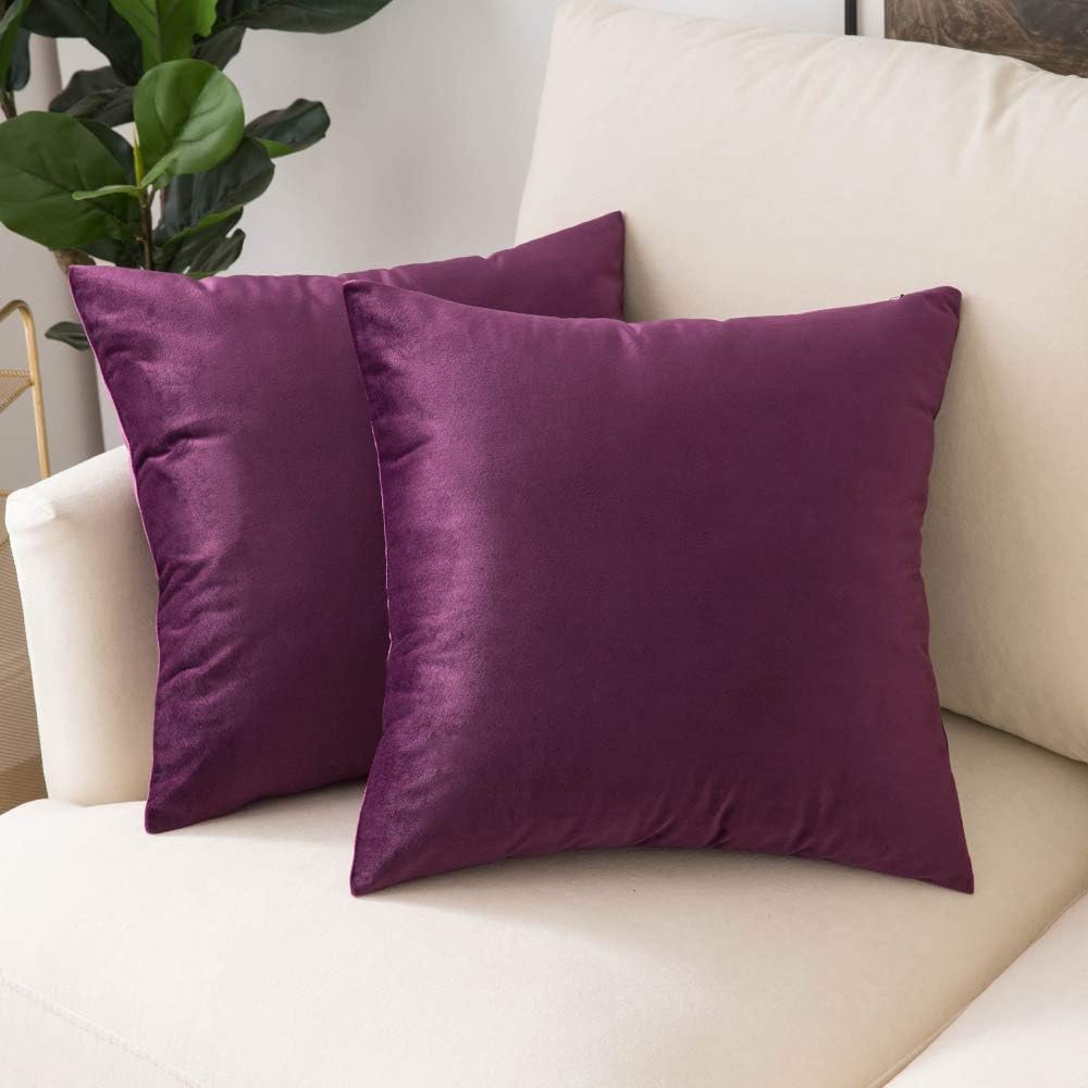 Woaboy Pack of 2 Velvet Throw Pillow Covers Decorative Pillowcases Solid Soft Cushion Covers Pillow Case Square Modern for Couch Living Room Sofa Bedroom Car 18x18 inch 45x45cm Purple