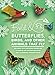 Fold & Fly Butterflies, Birds, and Other Animals that Fly: Over 25 Paper Creations that Fly (Volume 2) (835, 2)