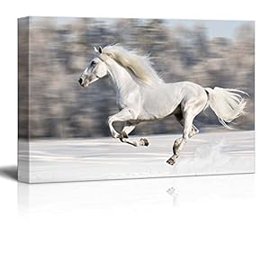Canvas Prints Wall Art - White Horse Runs Gallop in Winter | Modern Wall Decor/Home Art Stretched Gallery Canvas Wraps Giclee Print & Ready to Hang - 12" x 18"