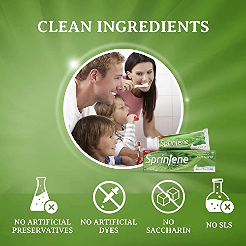 SprinJene Original Fresh Boost Fluoride Toothpaste with Patented Black