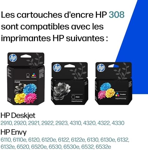 308, Noir et Tricolore, 6L6S6UE, Pack de 2 Cartouches d’Encre Original, Compatible avec Les Series d'Imprimantes HP Envy 6110, 6120, 6130, 6520, 6530