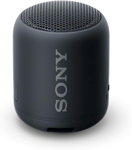 Amazon.com: Sony Portable Bluetooth Speaker - Black (Renewed