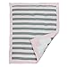 Burt's Bees Baby - Honeybee Mini Check Reversible Quilt, 100% Organic and 100% Polyester Fill (Blossom)