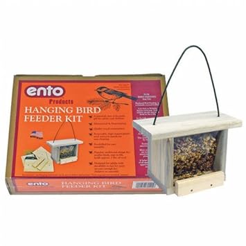Hanging Bird Feeder Kit Build A Wood Bird Feeder Amazon Co Uk