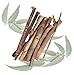 Exotic Nutrition Eucalyptus Branches (2.29 oz.) - Healthy Natural Chewing Sap Treat - Native Sugar Glider Food - 100% Natural Eucalyptus Wood Branches