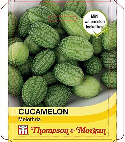ScoutSeed Thompson & Morgan Cucamelon Seeds