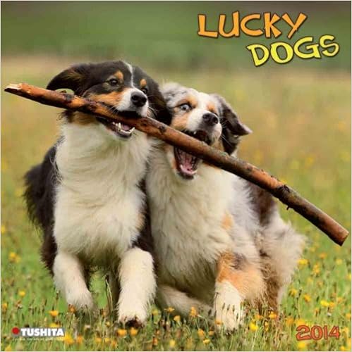 Httpwwebzine Pdfsgasharedtc3a9lc3 - 