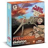Geoworld Flying Monsters Pteranodon Skeleton Excavation Kit