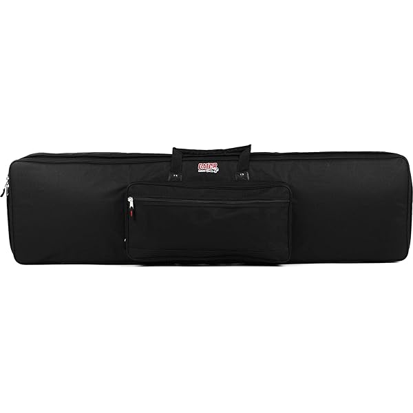 Amazon.com: Roland CB-BAX Black Series Keyboard Bag for AX
