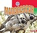 Madagascar (Country Explorers)