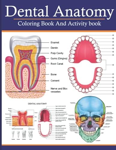 Dental Anatomy Coloring Book And Activity Book: A Dental Anatomy And