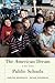 The American Dream and the Public Schools by Jennifer L. Hochschild, Nathan Scovronick