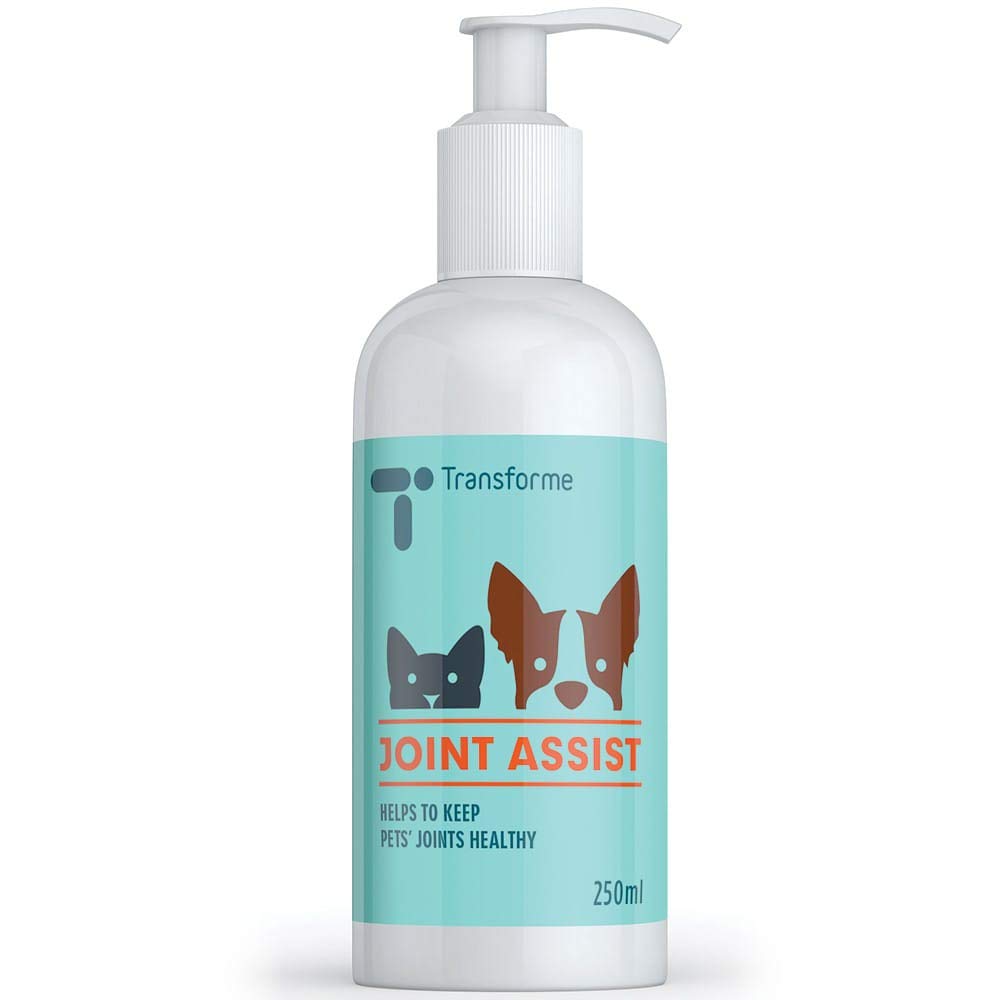 Buy Transforme Joint Care Supplement for Dogs and Cats, Joint Assist