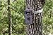 Bushnell 14MP Trophy Cam HD Aggressor No Glow Trail Camera, Brown