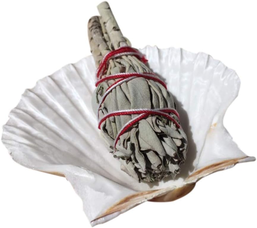 Scallop Shell Plus Californian Sage Smudge Stick Kit - Incense - Meditation - Mindfulness - Native American - Spiritual