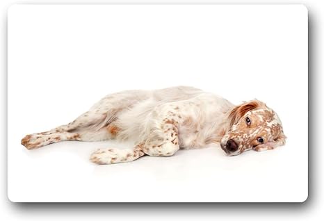 Customized Dog Zerbino Setter Inglese Bianco Amazon It Giardino E Giardinaggio