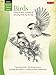 Drawing: Birds: Learn to draw a variety of amazing birds step by step (How to Draw & Paint)