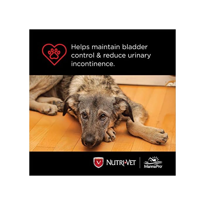 NutriVet Bladder Control Supplement for Dogs Reduce Dog Urinary Incontinence 90 Chewable