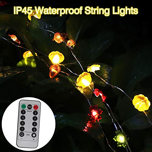Decoration String Lights - 10ft Waterproof Lights with 30 LEDs for Valentine\'s Day Deco Home Courtyard (Battery Not Included)