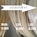 Rootflage Root Touch Up Powder Warm Blonde Hair Powder - Instant Temporary Root Touch Up Powder, Root Powder, Hair Touch Up Powder for Roots, Hairline Filler, Hair Cover Up Root Concealer Powder