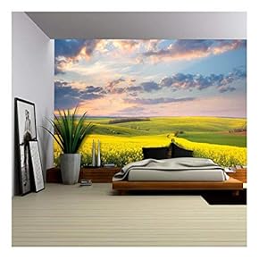 Yellow Flowering Fields Ground Road and Beautiful Valley...