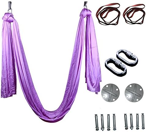 Egojin Elastic 5 meters 2016 Aerial Yoga Hammock Swing Latest Multifunction Anti-gravity Yoga belts for yoga training Yoga for sporting (purple)