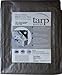 Kotap 20 x 20 Ft. Heavy-Duty Protection/Coverage Tarp, Superior Weave for Greater Longevity, 10-mil Multi-Use, Waterproof, TRS-2020, Silver (1-Pack)