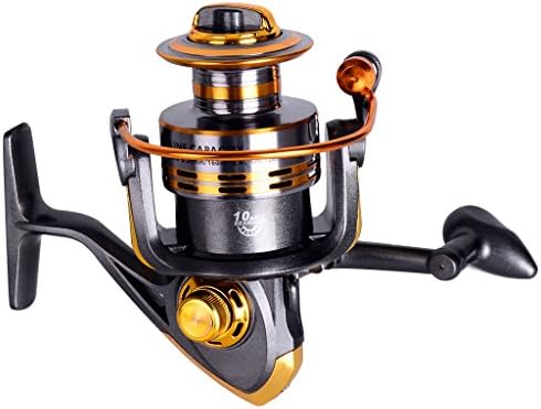 Lifelj Fishing Reel 10 Ball Bearing Spinning Reel Spinning Fishing Reel Left Right Interchangeable with Gear Ratio 5.2:1 for Fishing (3000)