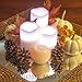 Frux Home and Yard 3 Piece Flickering Flameless LED Wax Pillar Candles Set with Remote Control and Bonus Ball Candle