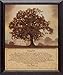 Living Life by Bonnie Mohr 19x23 framed country landscape print