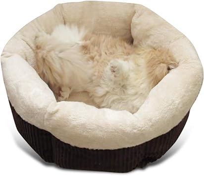 Petcute Panier Pour Chien Chat Coussin Corbeille Pour Chien Nid De Chat Paniers Chaud Pour Chiot Couchage Pour Chien M Amazon Fr Animalerie
