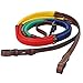 Kincade Pastel Rainbow Reins