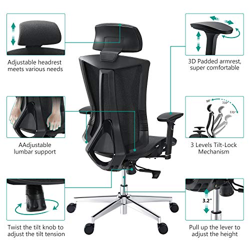 Mesh Office Chair, Tribesigns Ergonomic Office Chair with Lumbar
