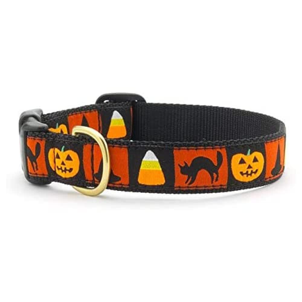 Photo 1 of Up Country Halloween Dog Collar Large (15 to 21 inches) 1 Inch Wide Width
