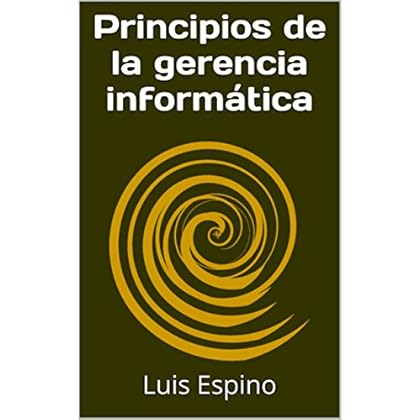 Principios de la gerencia informática Principios de la gerencia informática
