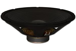 Goldwood Sound GW-1538/PA Pro 15" Woofer 30oz Magnet 270 Watts Replacement Speaker,Black