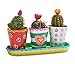 MindWare Paint Your Own Porcelain: (Flower Pot Set)