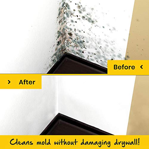 EcoClean Solutions Mold, Mildew & Algae Remover NoScrub Stain