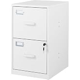 BYNSOE 2 Drawer File Cabinet with Lock Vertical Filing Storage Office Home Steel Vertical File Cabinets for Letter Size File Cabinet Locked,Assembly Required