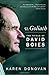 v. Goliath: The Trials of David Boies
