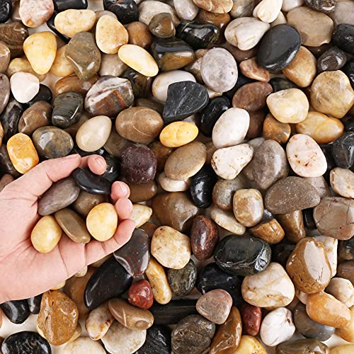 CJGQ Pebbles for Plants 3 lb Natural Garden Decorative Stone Outdoor Aquariums Gravel 12 Inches