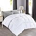 OHAPPES Queen/Full Comforter Soft Goose Down Alternative Duvet Insert for Winter, 8 Corner Loops, Warm Fluffy All Season Hotel Collection, 88 X 88 Inches, White
