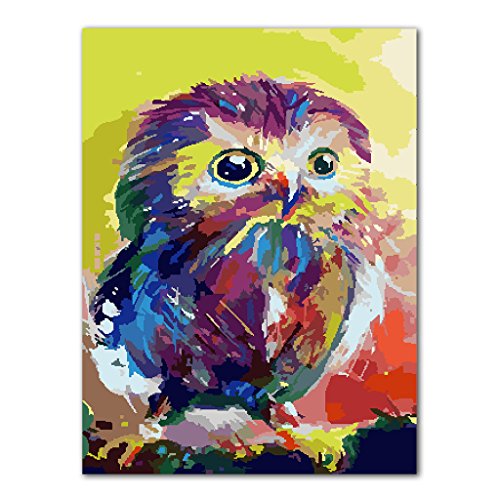 Paint By Number Kits of Owls • Paint By Number For Adults