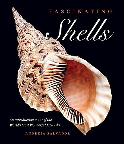 The Encyclopedia of Shells: Wye, Kenneth R.: 9780785812333: Amazon
