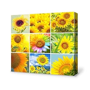 Canvas Wall Art Yellow Sunshine Flower Canvas Painting Wall Poster Decor for Living Room Wooden Framed Home Decorations - 12x12 inches
